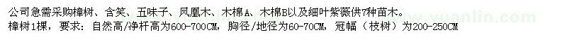 求購樟樹,含笑,五味子,鳳凰木,木棉,細葉紫薇