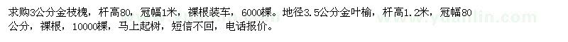 求購(gòu)3公分金枝槐,地徑3.5公分金葉榆