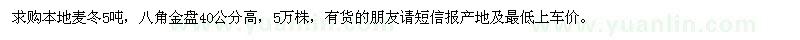 求購(gòu)麥冬,八角金盤(pán)