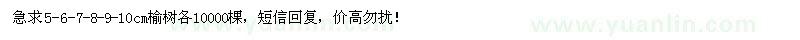 求購(gòu)米徑5-6-7-8-9-10cm榆樹各需10000棵