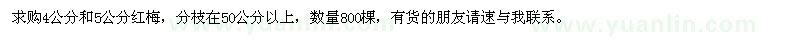 求購紅梅