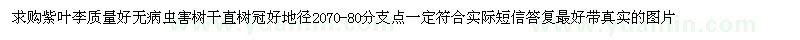 求購(gòu)紫葉李地徑20