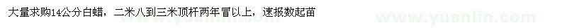 求購大量求購14公分白蠟