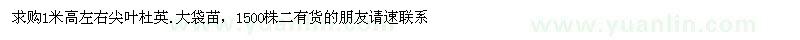 求購1米高左右尖葉杜英.大袋苗 1500