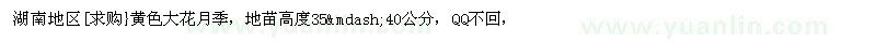 求購(gòu)湖南地區(qū)黃色大花月季