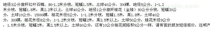 求購(gòu)獨(dú)干紅葉石楠 桂花（安徽滁州市）