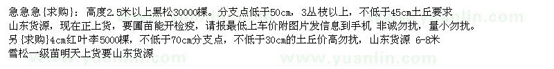 求購(gòu)黑松 紅葉李