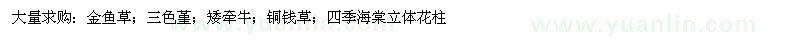 求購金魚草、三色堇、矮牽牛、銅錢草、四季海棠