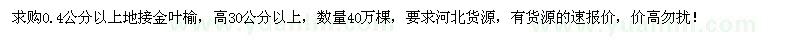 求購0.4公分以上地接金葉榆40萬棵