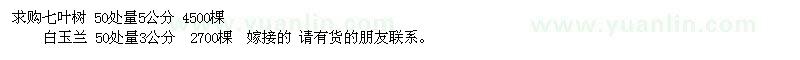 求購(gòu)5公分七葉樹(shù)、3公分白玉蘭