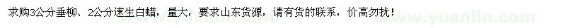 求購3公分垂柳、2公分速生白蠟