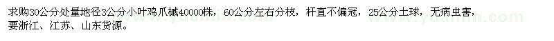 求購地徑3公分小葉雞爪槭