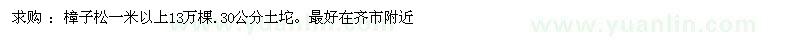 求購樟子松一米以上13萬棵