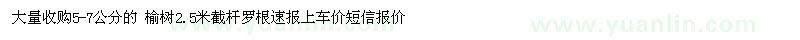 求購(gòu)5-7公分的 榆樹(shù)2.5米截桿羅根
