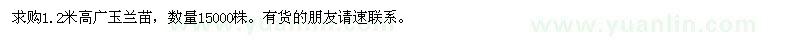 求購1.2米高廣玉蘭苗