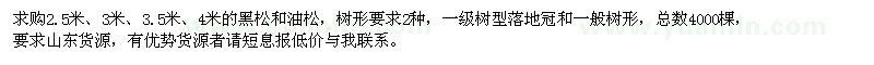 求購(gòu)黑松和油松