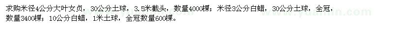 求購大葉女貞,白蠟