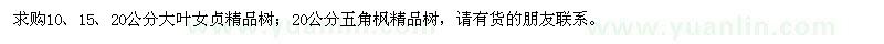 求購大葉女貞、五角楓