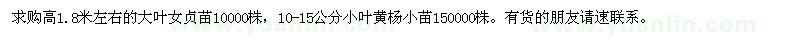 求購大葉女貞苗,小葉黃楊小苗