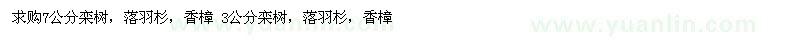 求購7公分欒樹，落羽杉，香樟 3公分欒樹，落羽杉，香樟