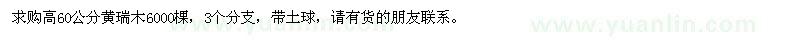 求購高60公分黃瑞木6000棵