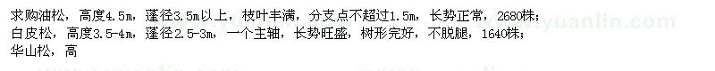 求購油松、白皮松
