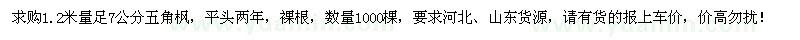 求購1.2米量足7公分五角楓1000棵