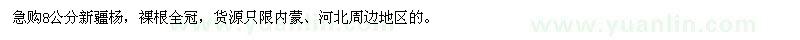 求購8公分新疆楊