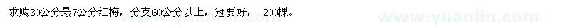 求購30公分最7公分紅梅