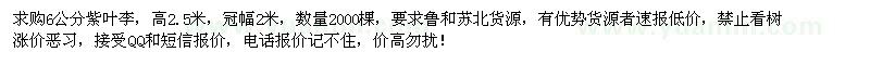 求購6公分紫葉李2000棵