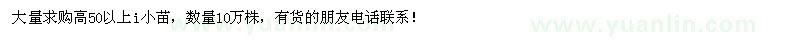 求購高50以上欒樹小苗
