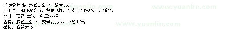 求購紫葉桃、廣玉蘭、金桂