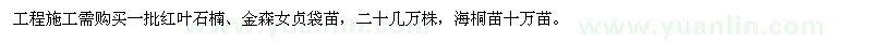 求購(gòu)紅葉石楠,金森女貞,海桐