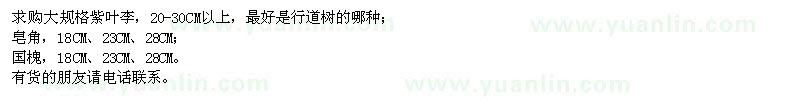 求購紫葉李,國槐,皂角