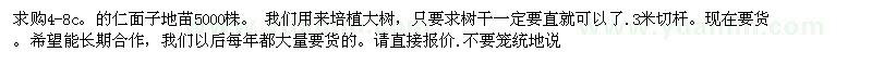 求購4-8c  的仁面子地苗5000株