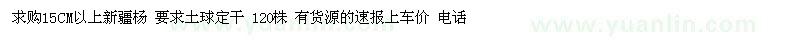求購15CM以上新疆楊