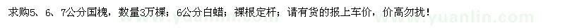 求購5、6、7公分國槐、6公分白蠟