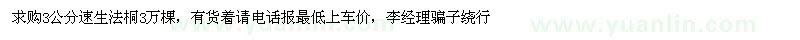求購3公分速生法桐3萬棵