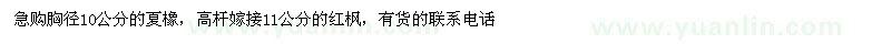 求購胸徑10公分的夏橡，嫁接11公分的紅楓