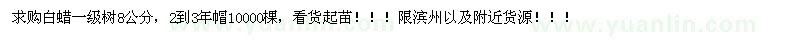 求購白蠟一級樹8公分