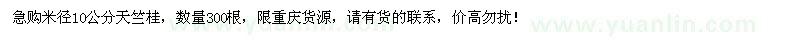 求購米徑10公分天竺桂300棵