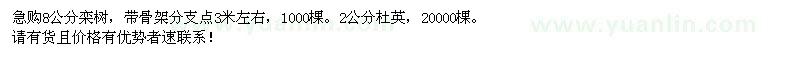 求購(gòu)8公分欒樹(shù)、2公分杜英