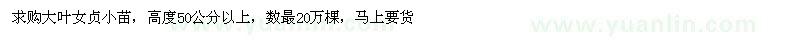 求購大葉女貞小苗