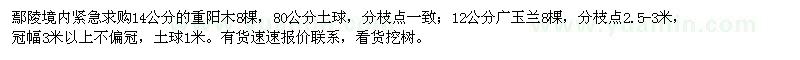 求購14公分的重陽木,12公分廣玉蘭
