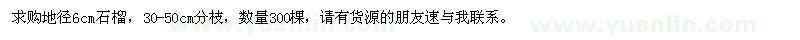 求購(gòu)地徑6cm石榴