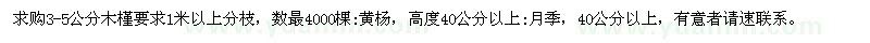 求購3-5公分木槿