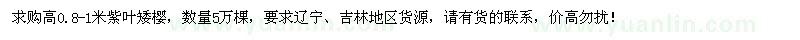 求購高0.8-1米紫葉矮櫻5萬棵