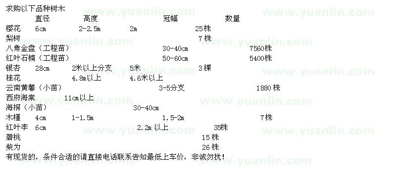 求購(gòu)櫻花、梨樹、八角金盤、紅葉石楠等苗木