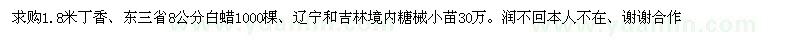 求購丁香、白蠟、糖槭小苗
