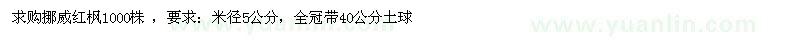 求購挪威紅楓1000株 